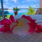 Blue Lagoon - Terrace View & Beach Access - Free Wifi Parking - Bora Bora Dream - Special Offer