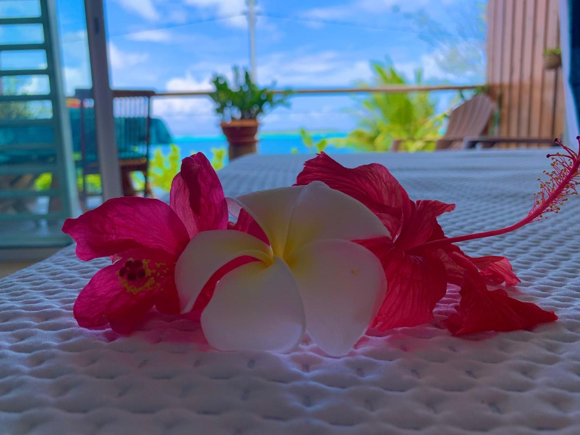 Blue Lagoon - Terrace View & Access - Free Wifi Parking - Dream - Special Offer * Bora Bora