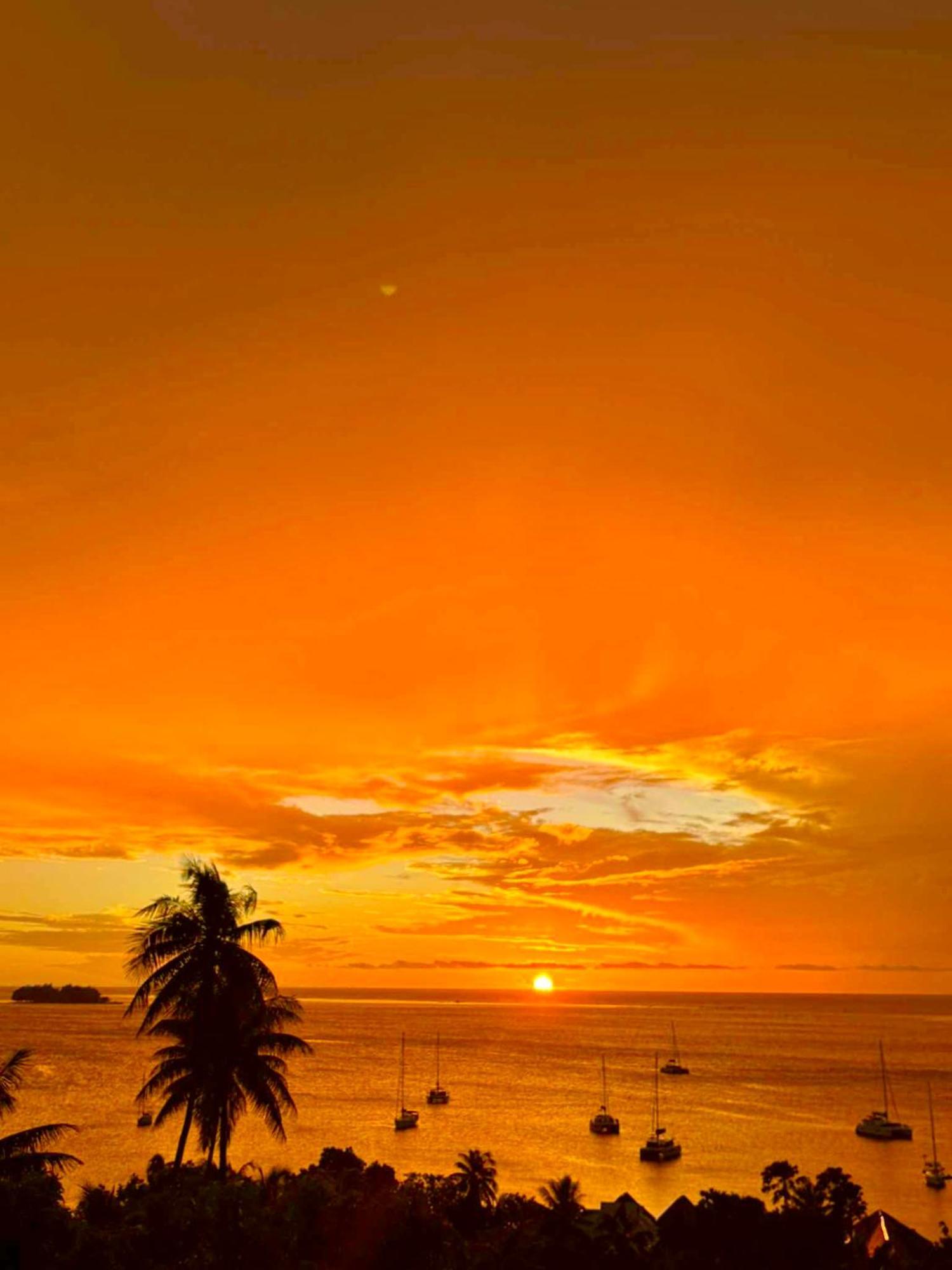Blue Lagoon - Terrace View & Access - Free Wifi Parking - Dream - Special Offer Apartment